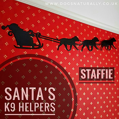 Santa's K9 Helper Decoration Choose Your Breed